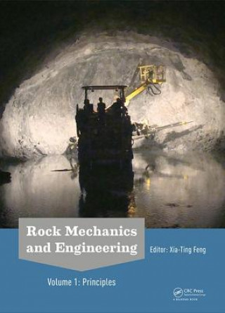Könyv Rock Mechanics and Engineering Volume 1 Xia-Ting Feng