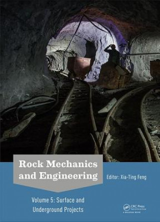 Kniha Rock Mechanics and Engineering Volume 5 Xia-Ting Feng