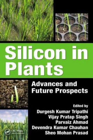 Book Silicon in Plants 