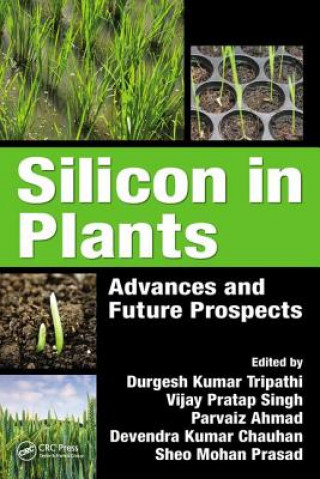 Knjiga Silicon in Plants 