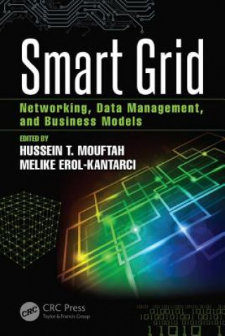 Libro Smart Grid 