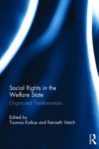 Könyv Social Rights in the Welfare State 