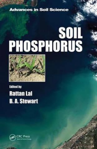 Könyv Soil Phosphorus 