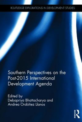 Książka Southern Perspectives on the Post-2015 International Development Agenda 