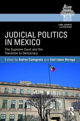 Kniha Judicial Politics in Mexico 