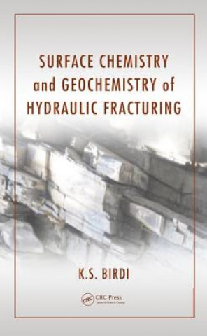 Kniha Surface Chemistry and Geochemistry of Hydraulic Fracturing K. S. Birdi
