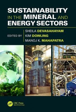 Книга Sustainability in the Mineral and Energy Sectors Sheila Devasahayam