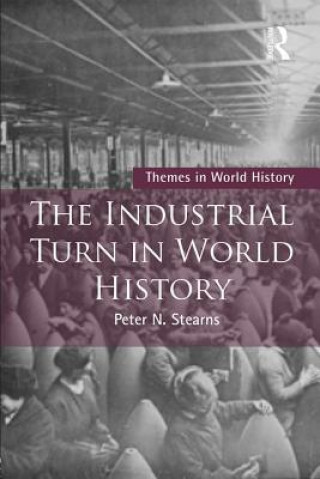 Książka Industrial Turn in World History Peter Stearns