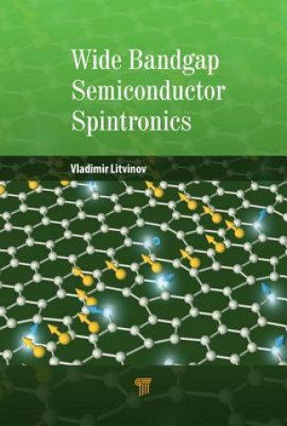 Książka Wide Bandgap Semiconductor Spintronics Vladimir Litvinov