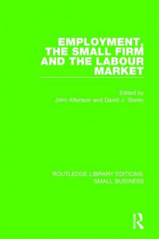 Könyv Employment, the Small Firm and the Labour Market 