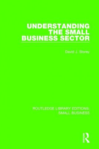 Książka Understanding The Small Business Sector David J. Storey