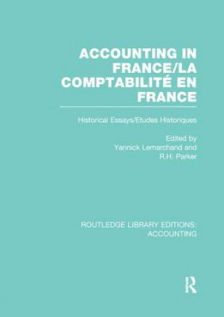 Книга Accounting in France (RLE Accounting) 