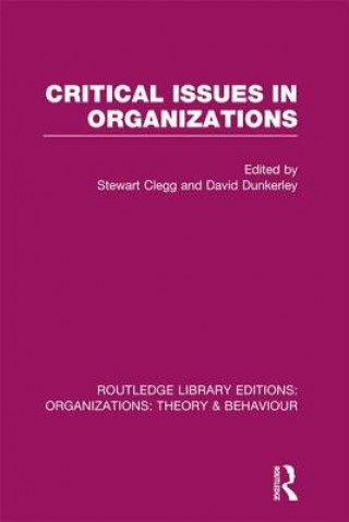 Kniha Critical Issues in Organizations (RLE: Organizations) 