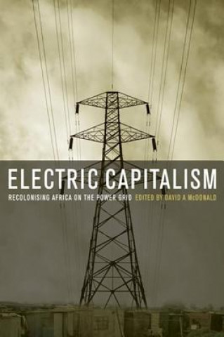 Kniha Electric Capitalism 