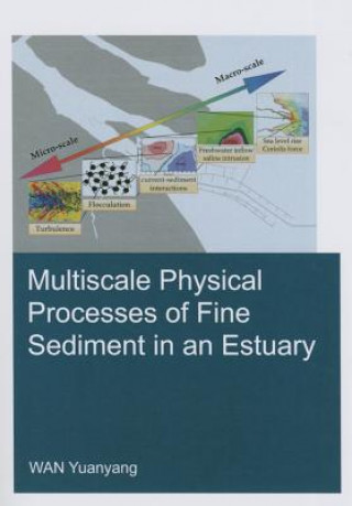 Książka Multiscale Physical Processes of Fine Sediment in an Estuary Yuanyang Wan