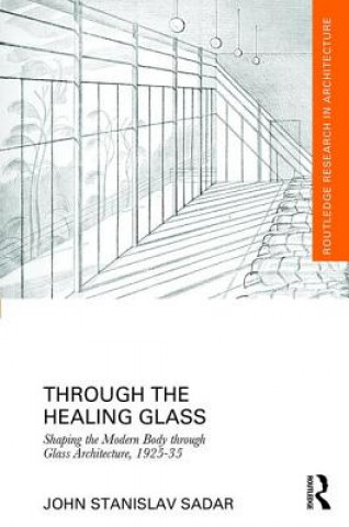 Buch Through the Healing Glass John Stanislav Sadar