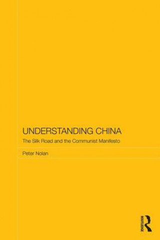 Buch Understanding China Peter Nolan