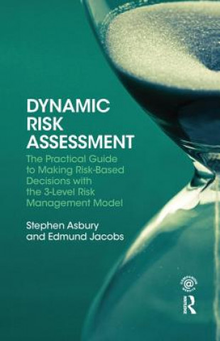 Kniha Dynamic Risk Assessment Stephen Asbury