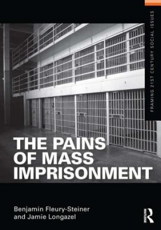 Βιβλίο Pains of Mass Imprisonment Benjamin Fleury-Steiner