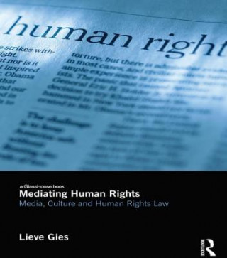 Buch Mediating Human Rights Lieve Gies