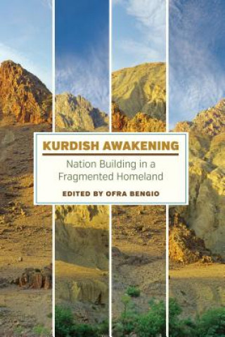 Könyv Kurdish Awakening 