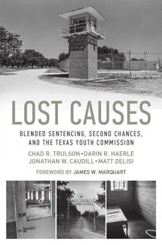 Kniha Lost Causes Chad R. Trulson