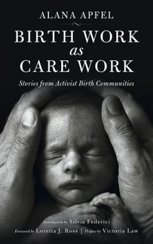 Книга Birth Work As Care Work Alana Apfel