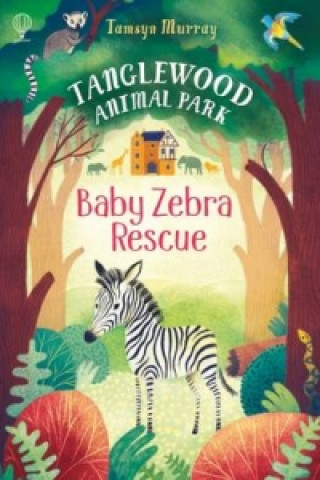 Kniha Baby Zebra Rescue Tamsyn Murray