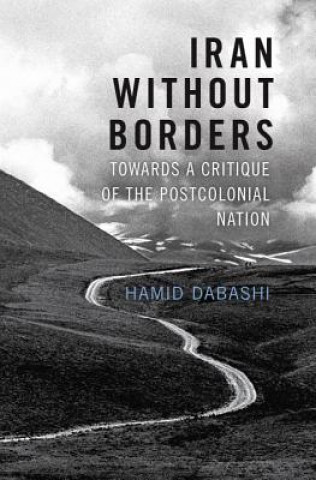 Книга Iran Without Borders Hamid Dabashi