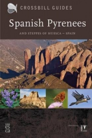 Buch Spanish Pyrenees Dirk Hilbers