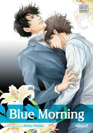Carte Blue Morning, Vol. 6 Shoko Hidaka