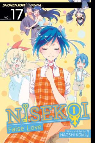 Kniha Nisekoi: False Love, Vol. 17 Naoshi Komi