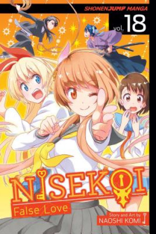 Könyv Nisekoi: False Love, Vol. 18 Naoshi Komi