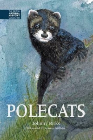 Kniha Polecats Johnny Birks
