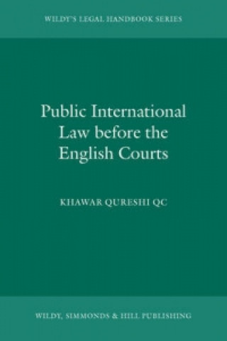 Könyv Public International Law before the English Courts Khawar Qureshi