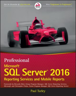 Kniha Professional Microsoft SQL Server 2016 Reporting Services and Mobile Reports Paul Turley