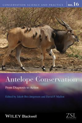 Kniha Antelope Conservation - From Diagnosis to Action Jakob Bro-Jorgensen