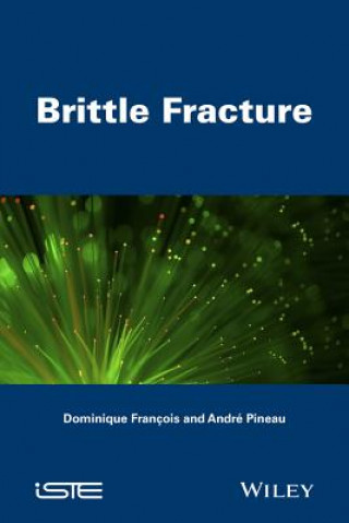 Kniha Brittle Fracture Dominique Francois