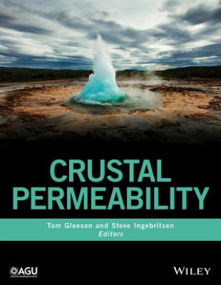 Könyv Crustal Permeability Tom Gleeson