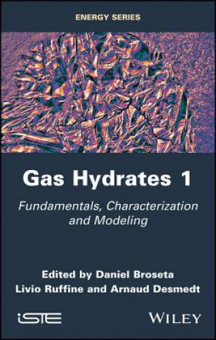 Könyv Gas Hydrates 1: Fundamentals, Characterization and  Modeling Daniel Broseta