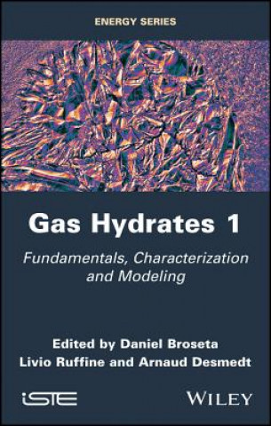 Libro Gas Hydrates 1: Fundamentals, Characterization and  Modeling Daniel Broseta