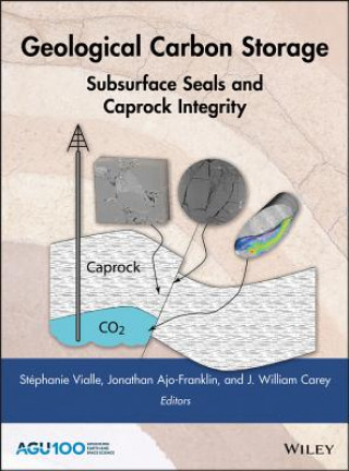 Carte Geological Carbon Storage - Subsurface Seals and Caprock Integrity Stephanie Vialle