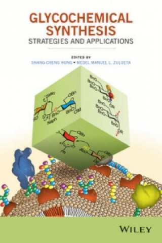 Kniha Glycochemical Synthesis - Strategies and Applications S Hung