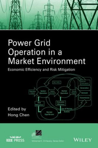 Buch Power Grid Operation in a Market Environment - Economic Efficiency and Risk Mitigation Hong Chen