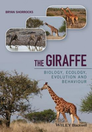 Kniha Giraffe - Biology, Ecology, Evolution and Behaviour Bryan Shorrocks