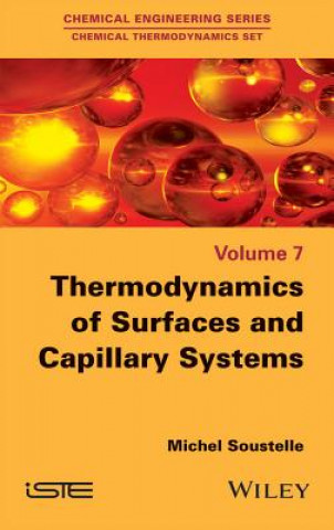 Könyv Thermodynamics of Surfaces and Capillary Systems Michel Soustelle