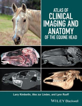 Könyv Atlas of Clinical Imaging and Anatomy of the Equine Head Larry Kimberlin