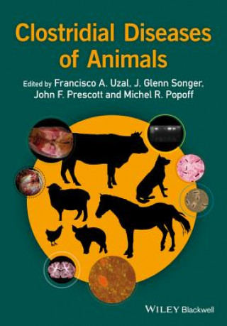 Könyv Clostridial Diseases of Animals Francisco A. Uzal