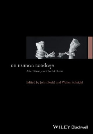 Kniha On Human Bondage - After Slavery and Social Death John Bodel