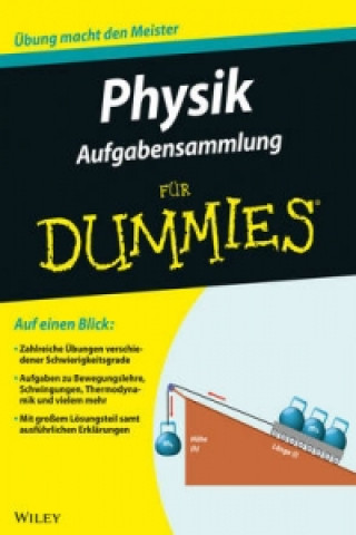 Könyv Aufgabensammlung Physik fur Dummies Matthias Delbrück